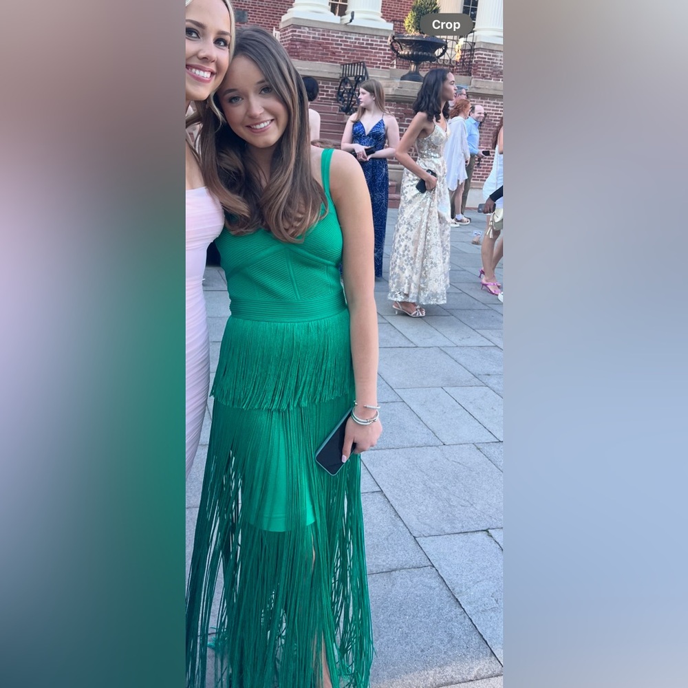 Herve Leger Green Strappy Ottoman Fringe Gown - Picture 7 of 8